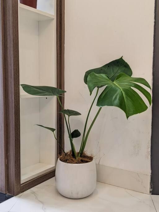 Cozy W/ 2 Private Br & Free Bike Parking Căn hộ