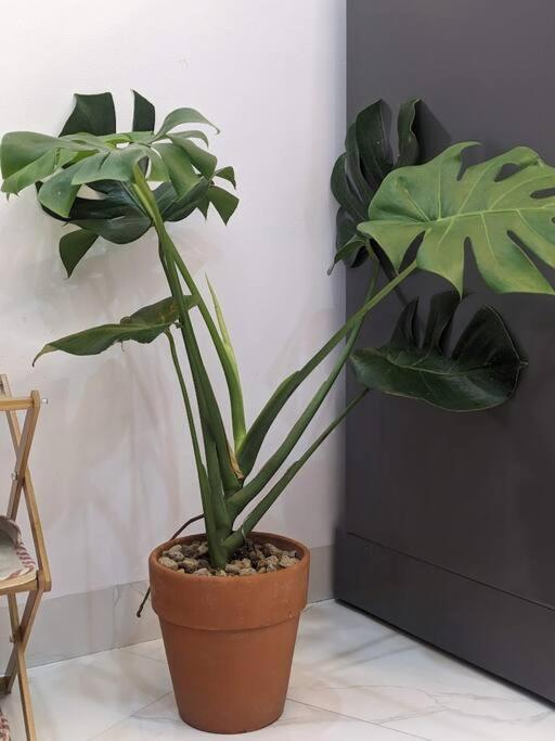 Cozy W/ 2 Private Br & Free Bike Parking Apartment Hanoi